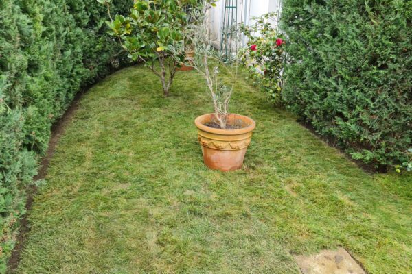 Création de jardin