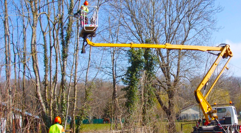 Élagage avec nacelle si besoin