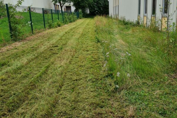 Taille des haies et débroussaillage tonte de pelouse